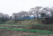 那須神田城跡