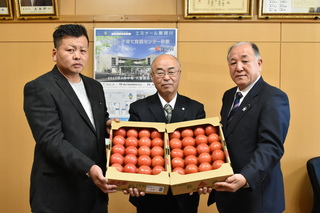 桃太郎トマトの出荷報告