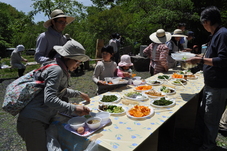 昼食会の様子