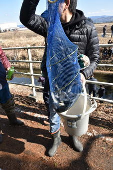 ます釣り