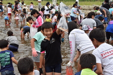 鮎とますのつかみ取り